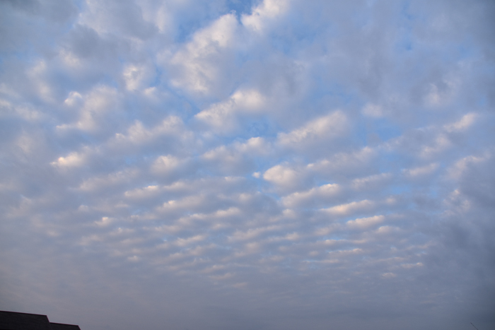c0049299_21125595.jpg