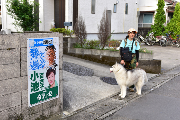 盛り沢山すぎるｗ（後半）　(^o^)_c0049299_21175898.jpg