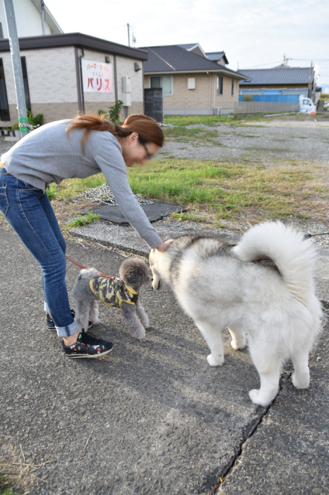 盛り沢山すぎるｗ（後半）　(^o^)_c0049299_21381565.jpg