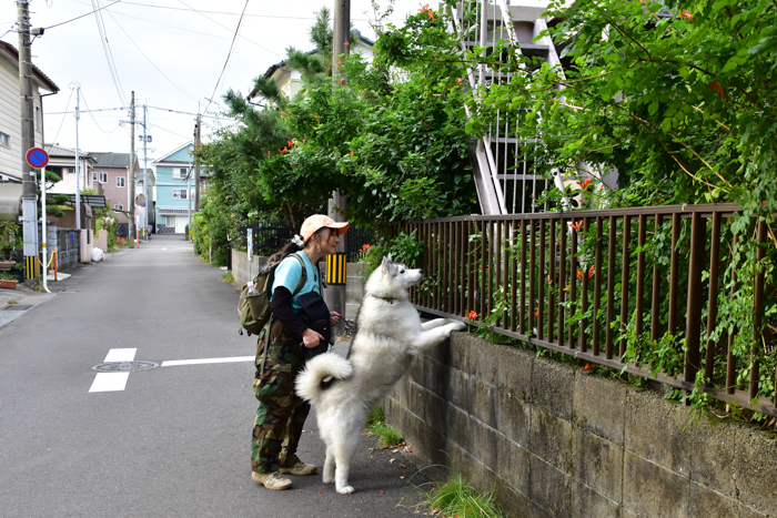 盛り沢山すぎるｗ（後半）　(^o^)_c0049299_21394823.jpg