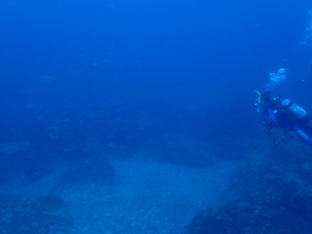 e0115199_17433039.jpg