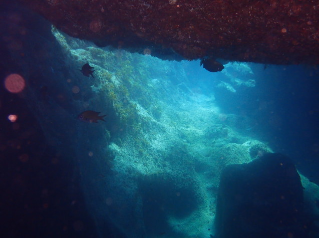 e0115199_17445226.jpg