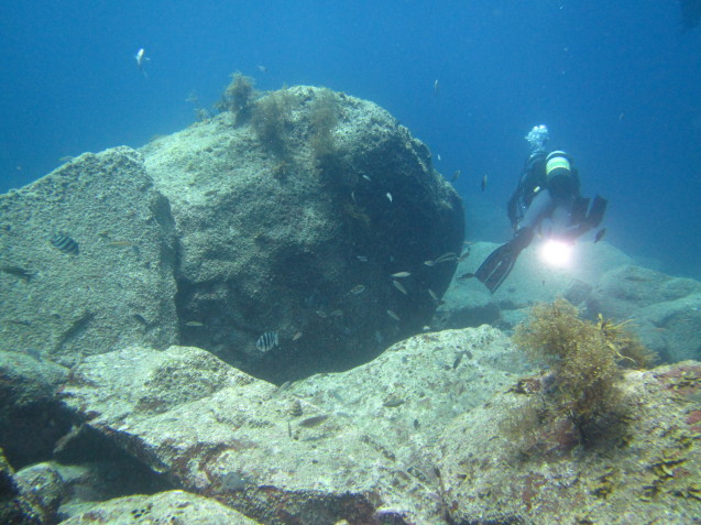 e0115199_17462167.jpg