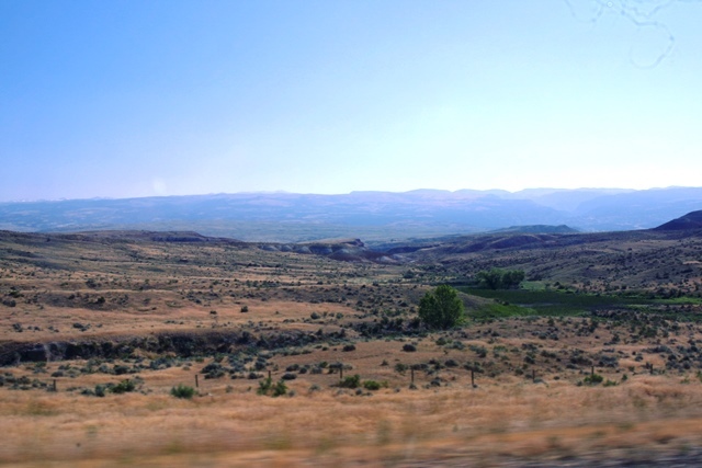 c0062603_14461093.jpg