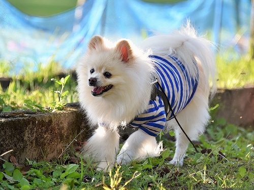 健脚自慢_d0360206_00154719.jpg