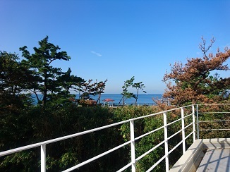 d0091909_18261830.jpg