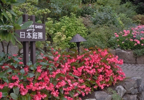 a0019212_09391633.jpg
