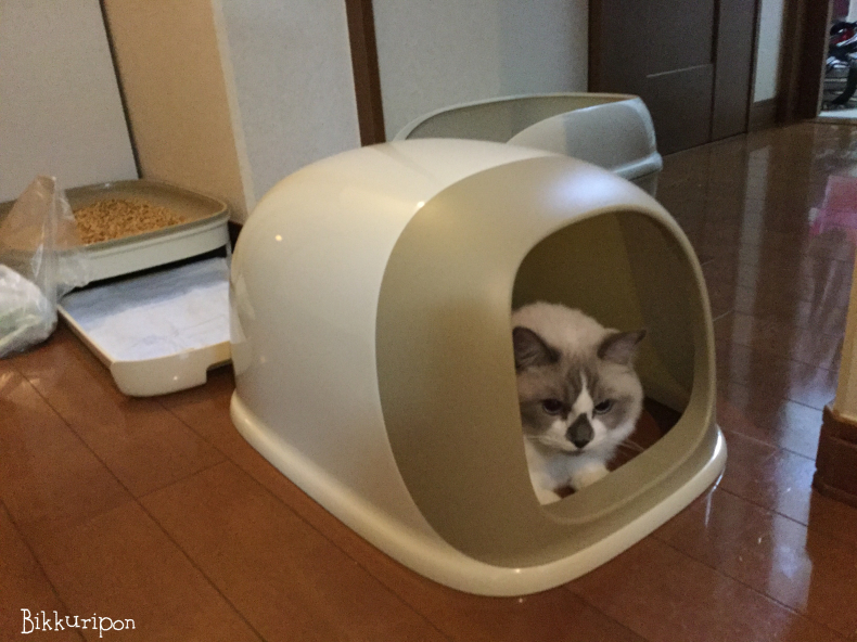 トイレ事情とおまけ_d0344913_09344196.jpg