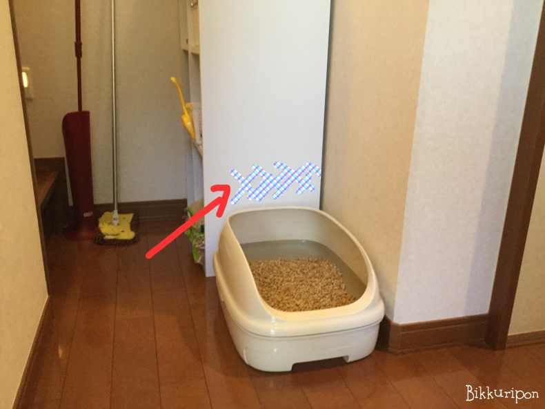 トイレ事情とおまけ_d0344913_09345052.jpg