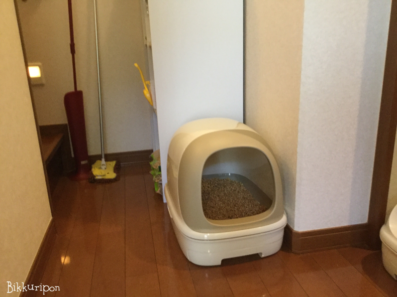 トイレ事情とおまけ_d0344913_09345730.jpg