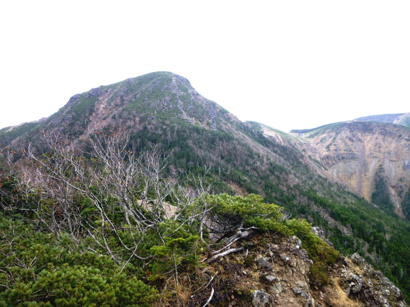 d0170615_11130043.jpg