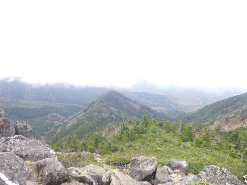 d0170615_11144192.jpg