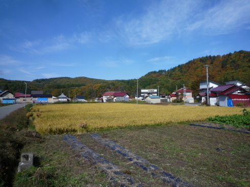 坪川監督もやって来た_c0189218_19041303.jpg