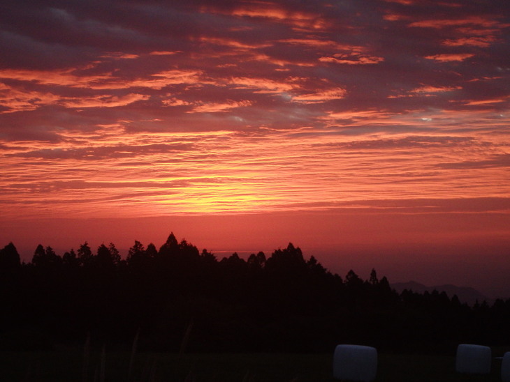 f0193521_8304132.jpg
