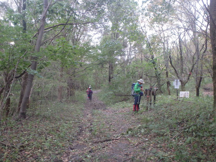 f0193521_835552.jpg