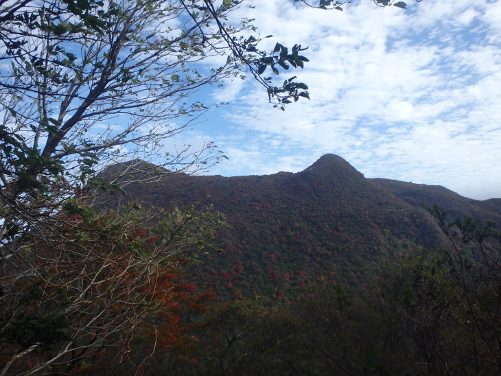 f0193521_838277.jpg