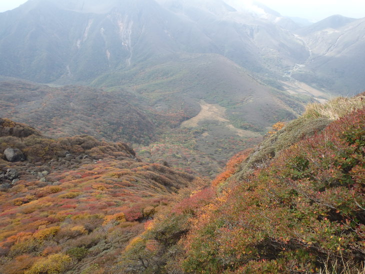 f0193521_913921.jpg