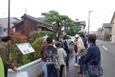 d0314924_11331495.jpg