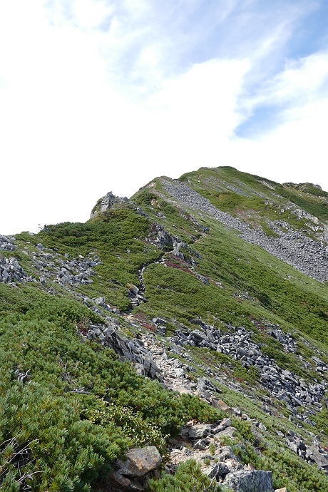 北アルプス・針ノ木岳登山記 2017　その31_c0196928_08185263.jpg