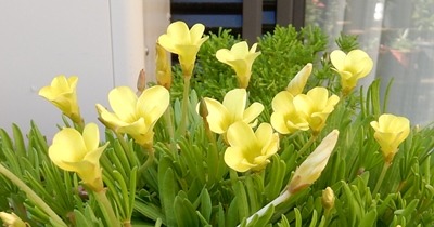 e0033229_18192721.jpg