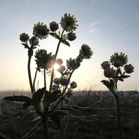 a0329935_07233044.jpeg