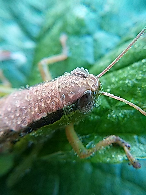 f0020336_06475885.jpg