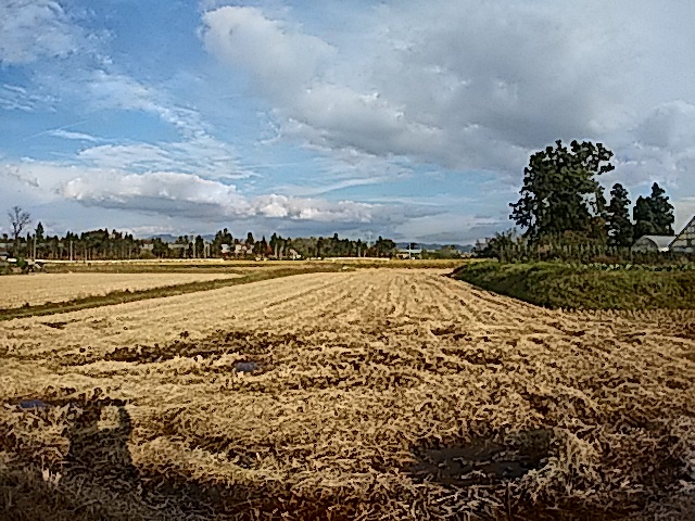 f0020336_20580418.jpg