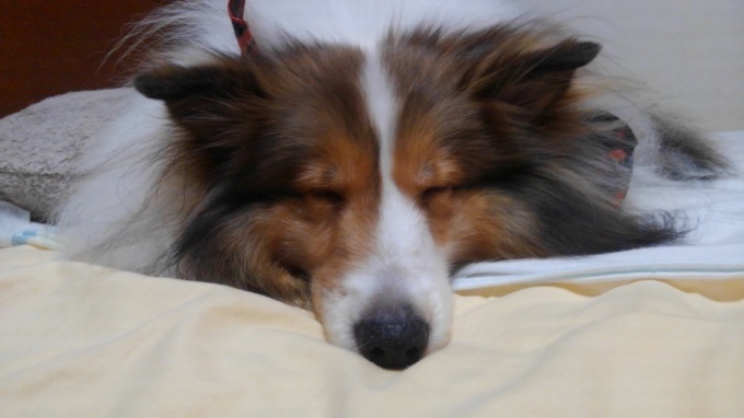 f0210439_22040043.jpg