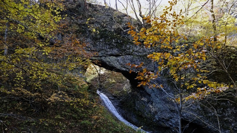 d0347140_21512982.jpg