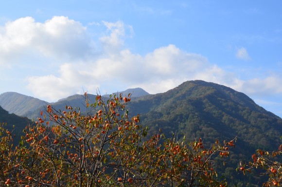 紅葉始まる　今日の谷根_c0202242_09384340.jpg