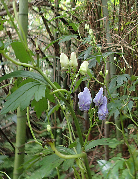 f0214649_04453786.jpg