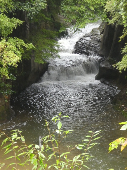 b0243152_20585860.jpg