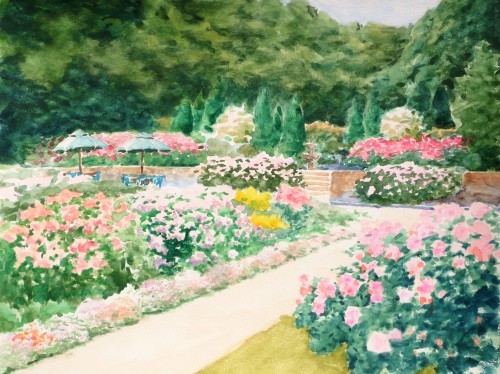 薔薇と遊ぶ光の庭 透明水彩画 ブラウンの額入り こける