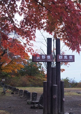 b0335256_20532838.jpg