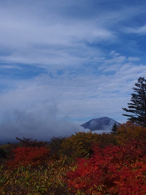 b0335256_20552651.jpg