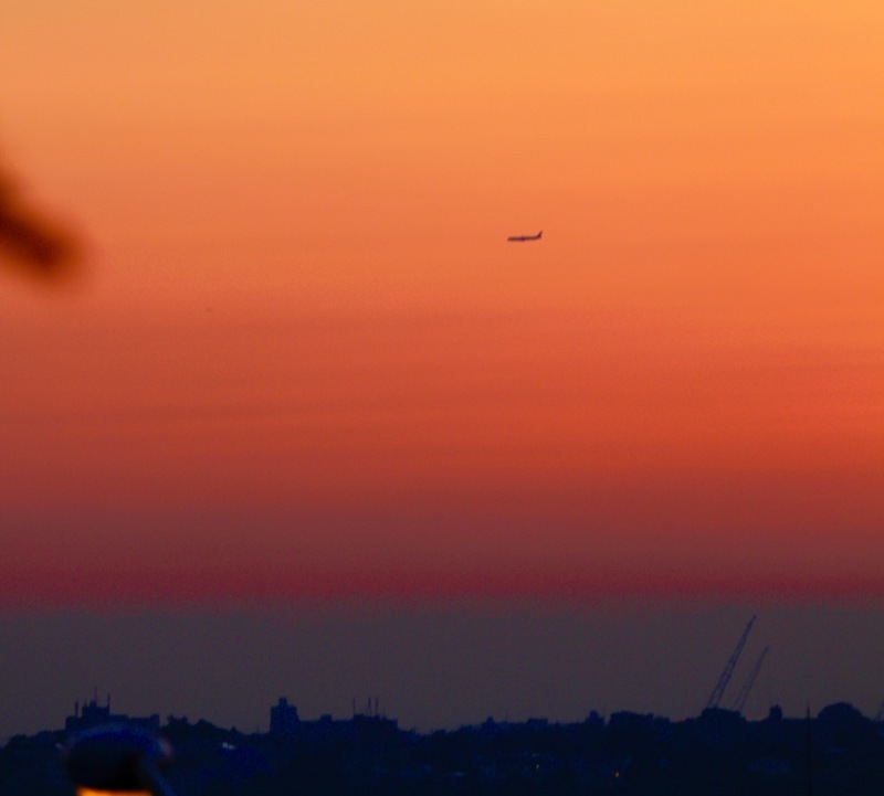 a0248459_19554907.jpg