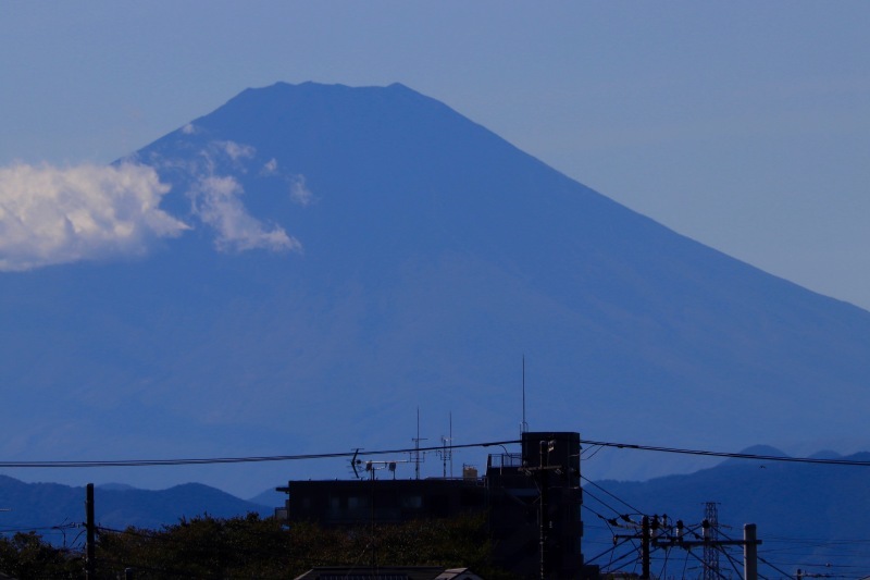 a0248459_20003296.jpg