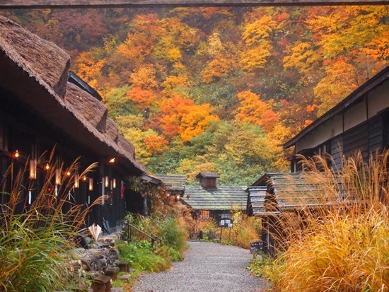 秋田へ追悼の旅～朝のドライブ♪_e0142377_14245351.jpg