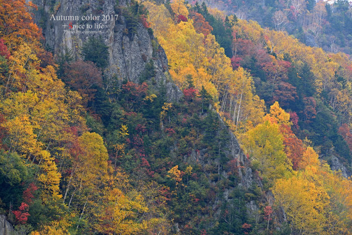 Autumn color 2017 #層雲峡_f0326278_22581698.jpg