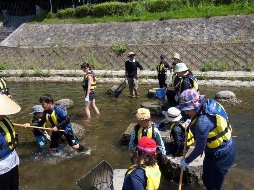 山科川ガサガサ探検隊_e0008880_12295365.jpg