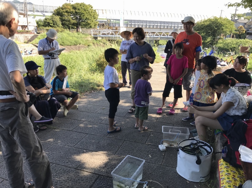 山科川ガサガサ探検隊_e0008880_12435741.jpg
