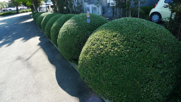 c0212083_16042292.jpg