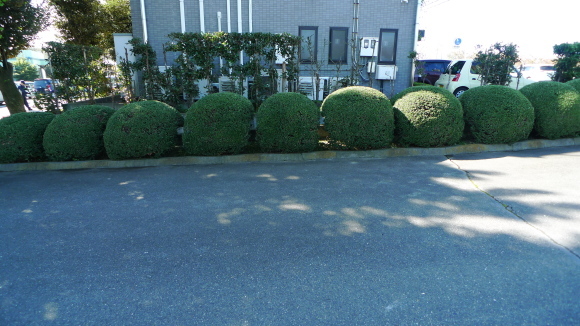 c0212083_16043219.jpg