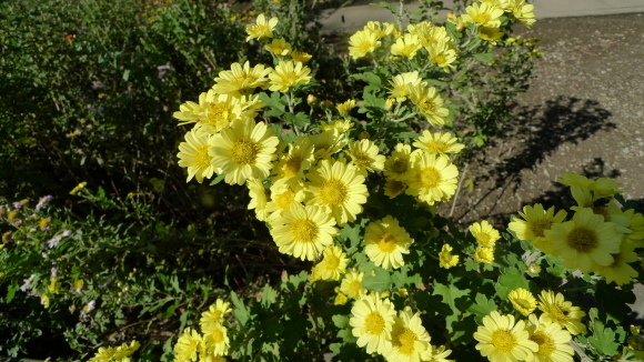 c0212083_16051928.jpg