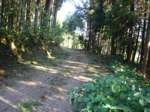 道の駅の会議 (黒髪の里)_d0195183_02260286.jpeg