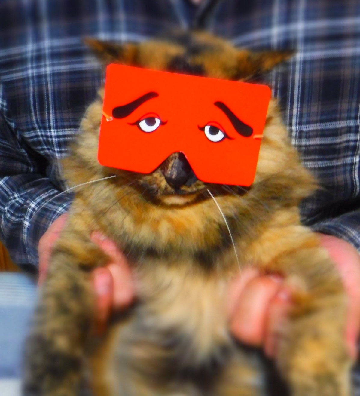 道の駅の会議 (黒髪の里)_d0195183_02271310.jpeg