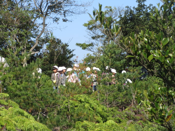 f0053885_19575068.jpg
