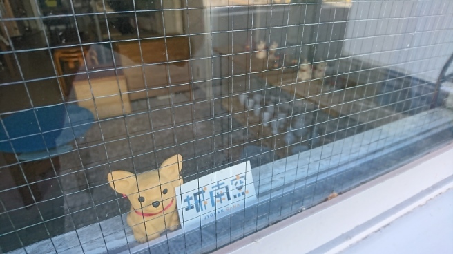 街ネタ。そしてサファリオケさん近し!_e0046190_18231731.jpg
