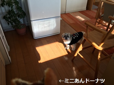 f0372998_22314779.jpg