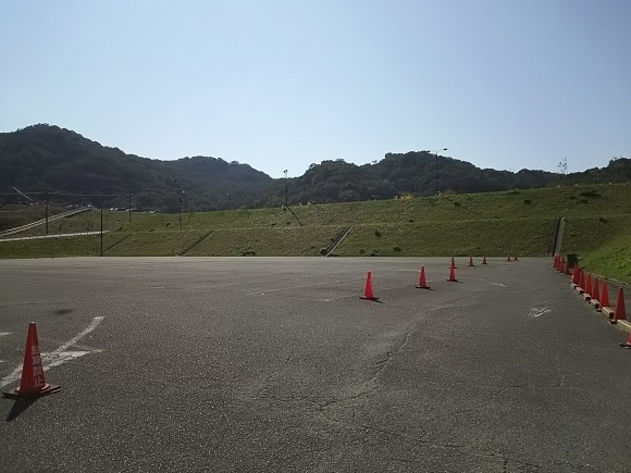 キリギリスかな?_b0329603_14470040.jpg